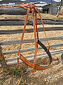 1 Strap Britchen